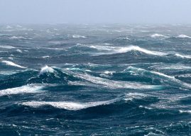 DSTA Partners With Windward on Maritime AI Research