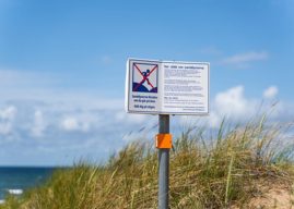 Bigmate Launches Real-Time AI Defect Detection Powered by Equinix